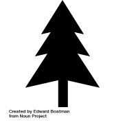 noun_Tree_479