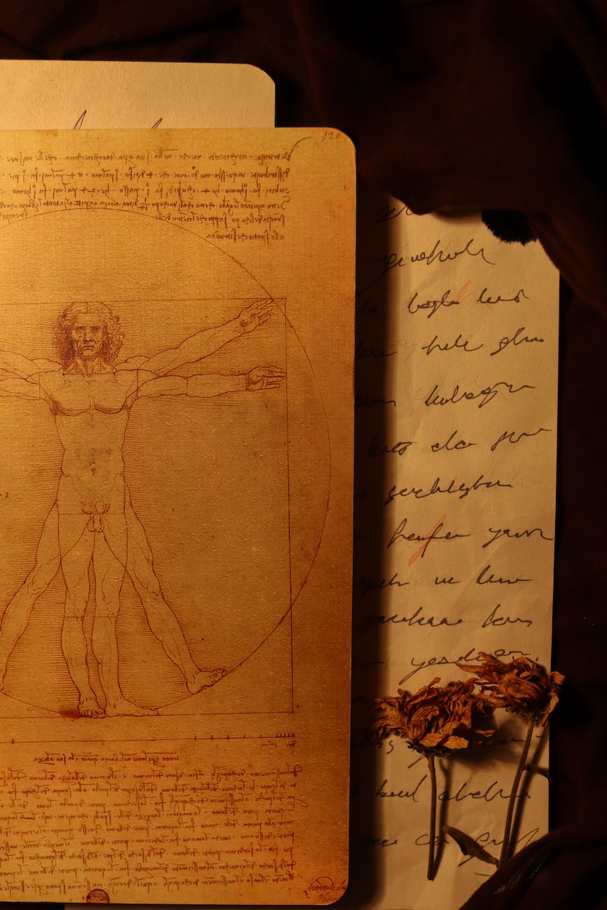 vitruvian man drawing in close up shot